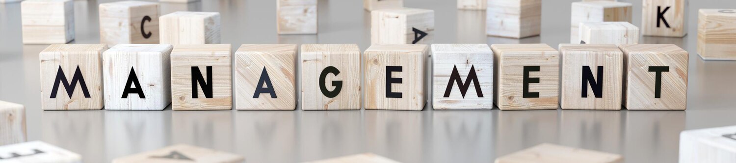 Projektmanagement - Organisation und Führung